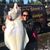 Julie Hilton's profile image