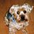 Barb Boraski Vosburgh's profile image