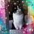 Debby Bundy's profile image