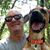 Kevin T. Kelly's profile image