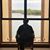 Brayan Rosas's profile image
