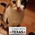 Yumi Amorvuelve Delrio's profile image