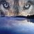 James Smet's profile image