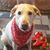 Jennifer Riesbeck's profile image