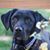 Hope Wicken's profile image