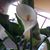 Rosemary Norcom Gaeta's profile image