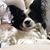 Carrie Samuelson Thompson's profile image