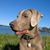 Mandy Aaron Dysart's profile image