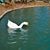 Ixchel Ruiz's profile image