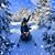 Anne Bower Crump's profile image