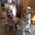 Sue Fluhr's profile image