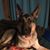 Shannan Thielbar's profile image