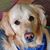 Stephanie Detwiler's profile image