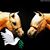 Cyndy Rhone's profile image