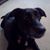 Linda Brown Tryon Scott's profile image