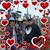 Anthony Gianocaro's profile image