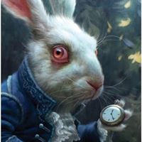 Michael Rector's profile image