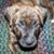 Jesse Tullar's profile image