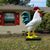Kevin Alan Smith's profile image