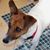 Janet Nachman's profile image