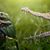 Judson Reagles's profile image