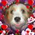 Joan Parker's profile image