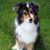 Sue Orlikowski-Eaton's profile image