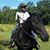 Diane DiDiana's profile image