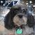 Janet Gondek Choike's profile image