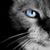 Jan Riecker Reeves's profile image