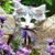 Shari Friedman's profile image