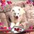 Nancy Bruda's profile image
