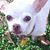 Debbie Lopez's profile image