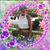 Sue Robinson's profile image