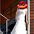 Jennifer Pooler Gray's profile image
