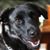 Cathy Beal's profile image