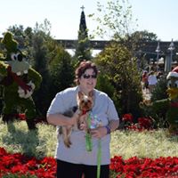 Barbara Crago McMahon's profile image