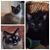 Pam LeFever's profile image