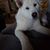 Erin Gray's profile image