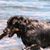 Gregory G Hause's profile image