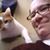 Sadie Massar's profile image