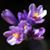 Heidi Zoeller's profile image