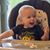 Chereen Ebner's profile image