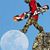 Michael Dean Steinke's profile image