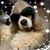 Valerie Lord's profile image