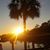 Steve Kertes's profile image