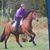 Joan Cameron's profile image