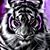 Dawn Hubberstey's profile image
