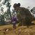 Jeanie Vengen's profile image