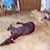 Diane Nelles Letourneau's profile image